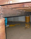 Mold and rot thriving in a dirt floor crawl space in Quincy