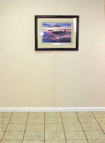 Wall Panels