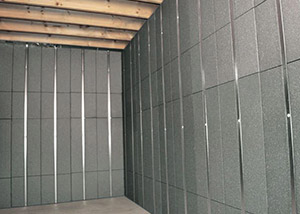 Basement to Beautiful™ panels installed in Peoria.