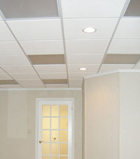 Basement Ceiling Tiles for a project we worked on in Rushville, Illinois, Iowa, and Missouri
