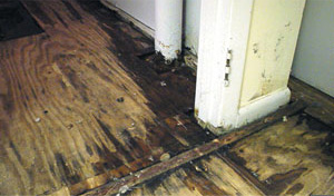 Basement Wood Subfloor Mold