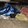 A crawl space filled with loose insulation, debris, and a large tarp in Edina.