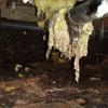 Fiberglass insulation dripping off a pipe in Liberty.