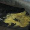 Disintegrated fiberglass insulation sitting in a pool of water in Keosauqua.