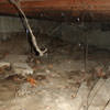 A crawl space with spiderwebs, mold, and uneven floors in West Point.