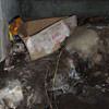 A rotting box sitting on a rock in a crawl space in Elliott.