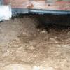 A muddy, disgusting crawl space with little or no head room in Astoria.