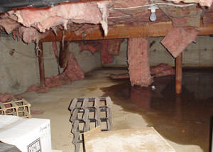 fiberglass insulation dripping off the ceiling of a crawl space in Carthage.