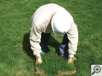 Restoring the landscaping by replacing removed sod on the ground for a West Burlington home.