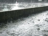 Heavy rains in a downpour in West Point.
