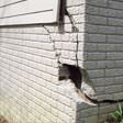 foundation walls cracked due to settlement in Quincy