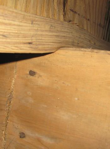 severe damage to a crawl space structure in a Carthage home