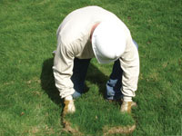 Restoring the landscaping by replacing removed lawn sections for a Fairfield home.