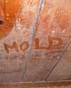The word mold written with a finger on a moldy wood wall in Mount Sterling