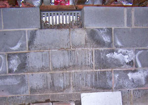 Open crawl space vents allowing in humidity and water in West Point