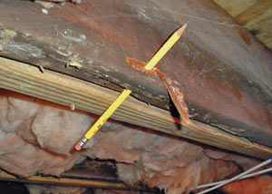 Destroyed crawl space structural wood in Donnellson