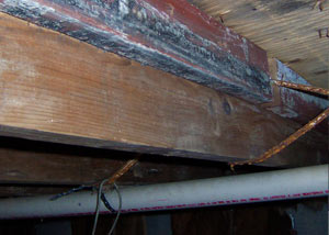 Rotting, decaying wood from mold damage in Keosauqua