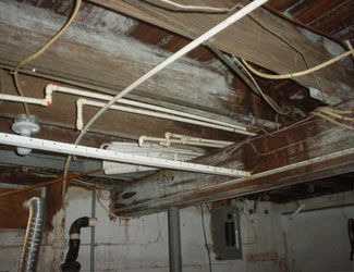 a humid basement overgrown with mold and rot in Mason City