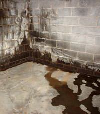 Water seeping through a concrete wall in a Montrose basement