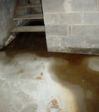 Flooding floor cracks by a hatchway door in Bellflower
