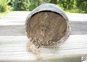 clogged french drain found in Bellflower, Illinois, Iowa, and Missouri