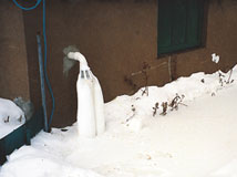 IceGuard® Installed Fort Madison